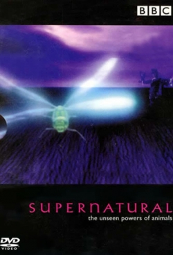 Watch Supernatural: Unseen Power of Animals movies free AniWave