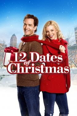 Watch 12 Dates of Christmas movies free AniWave