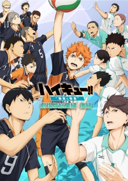 Watch Haikyuu!! Movie 2: Winners and Losers movies free AniWave