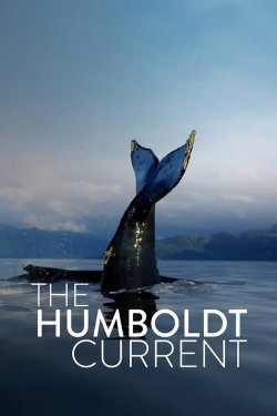 Watch The Humboldt Current movies free AniWave