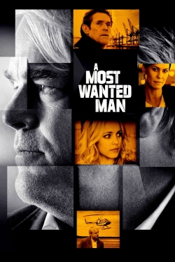 Watch A Most Wanted Man movies free AniWave