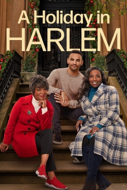 Watch A Holiday in Harlem movies free AniWave