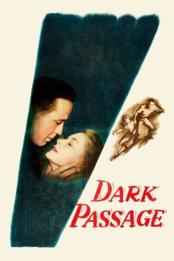 Watch Dark Passage movies free AniWave