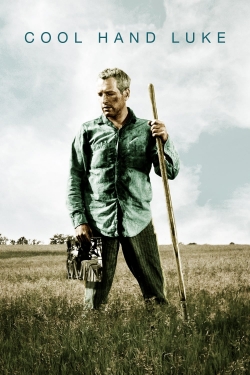 Watch Cool Hand Luke movies free AniWave