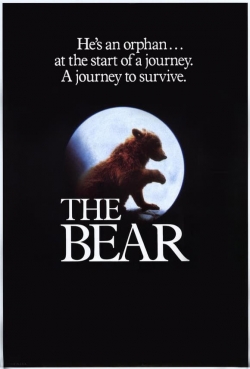 Watch The Bear movies free AniWave