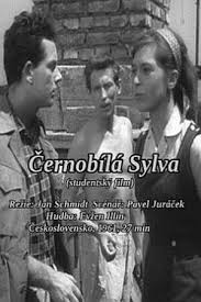 Watch Black and White Sylva movies free AniWave