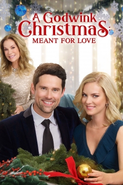 Watch A Godwink Christmas: Meant For Love movies free AniWave