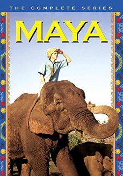 Watch Maya movies free AniWave