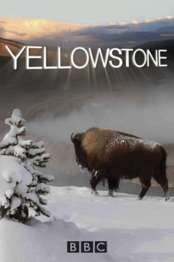 Watch Yellowstone movies free AniWave