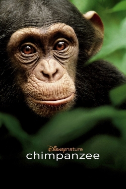 Watch Chimpanzee movies free AniWave