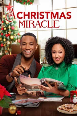 Watch A Christmas Miracle movies free AniWave