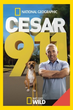 Watch Cesar 911 movies free AniWave