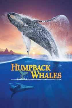 Watch Humpback Whales movies free AniWave