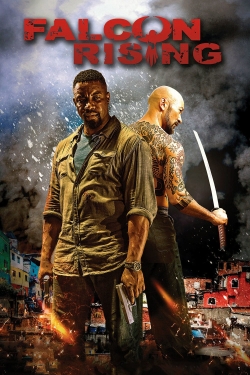 Watch Falcon Rising movies free AniWave