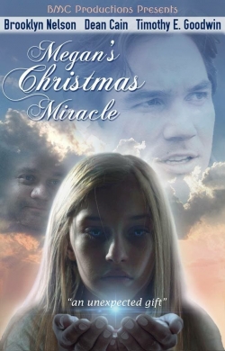 Watch Megan's Christmas Miracle movies free AniWave