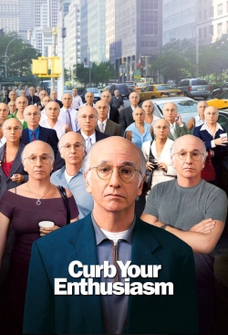 Watch Larry David: Curb Your Enthusiasm movies free AniWave