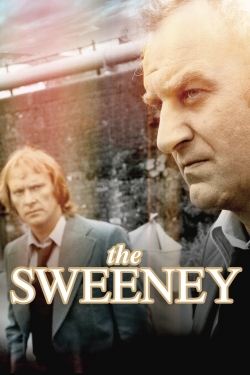 Watch The Sweeney movies free AniWave