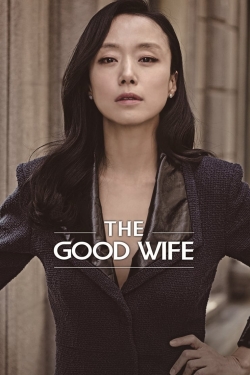 Watch The Good Wife movies free AniWave