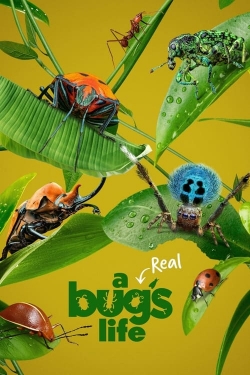 Watch A Real Bug's Life movies free AniWave