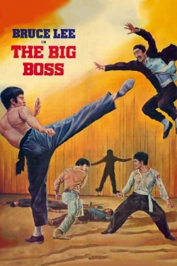 Watch The Big Boss movies free AniWave