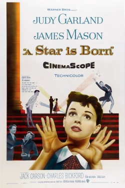 Watch A Star Is Born movies free AniWave